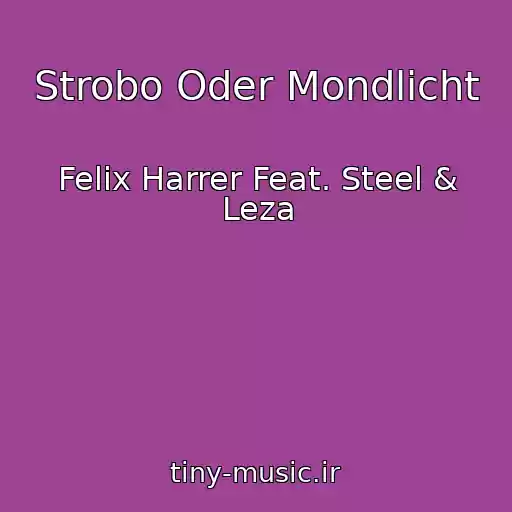 کاور آهنگ Strobo Oder Mondlicht از Felix Harrer Feat. Steel & Leza