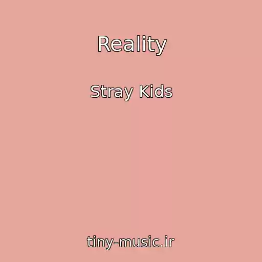 کاور آهنگ Reality از Stray Kids