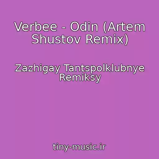 کاور آهنگ Verbee - Odin (Artem Shustov Remix) از Zazhigay Tantspolklubnye Remiksy