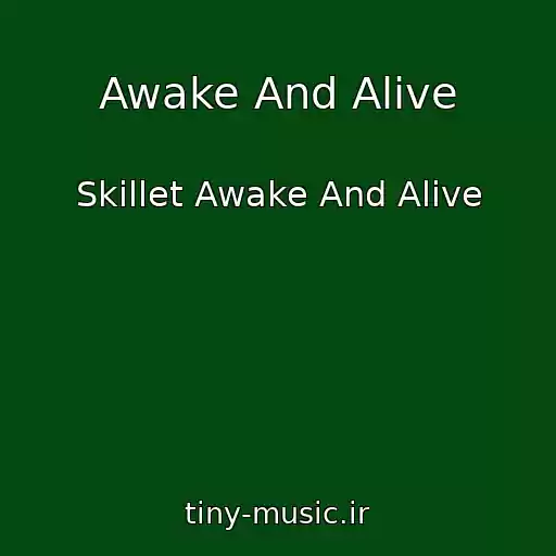 کاور آهنگ Awake And Alive از Skillet Awake And Alive