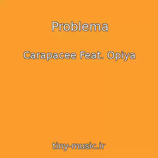 کاور آهنگ Problema از Carapacee Feat. Opiya