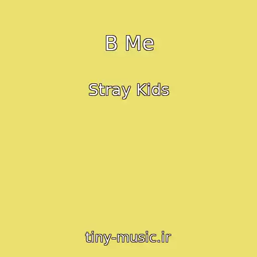 کاور آهنگ B Me از Stray Kids