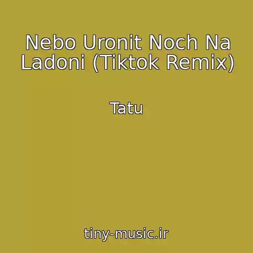 کاور آهنگ Nebo Uronit Noch Na Ladoni (Tiktok Remix) از Tatu