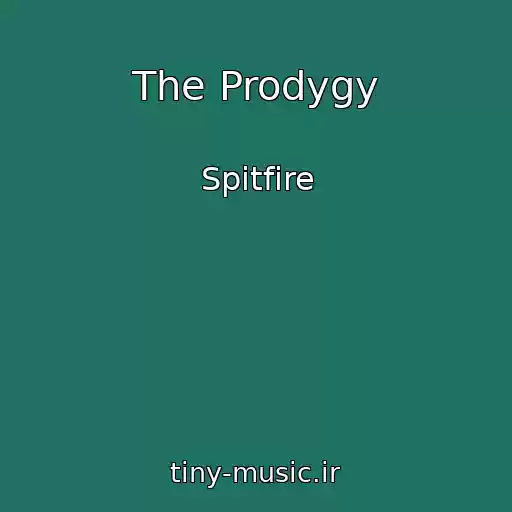 کاور آهنگ The Prodygy از Spitfire