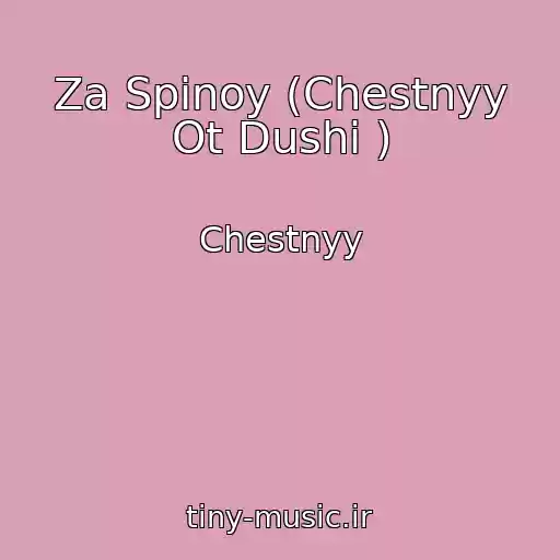 کاور آهنگ Za Spinoy (Chestnyy Ot Dushi ) از Chestnyy