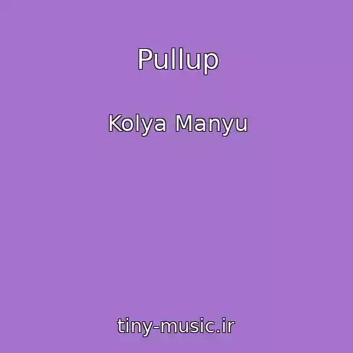 کاور آهنگ Pullup از Kolya Manyu