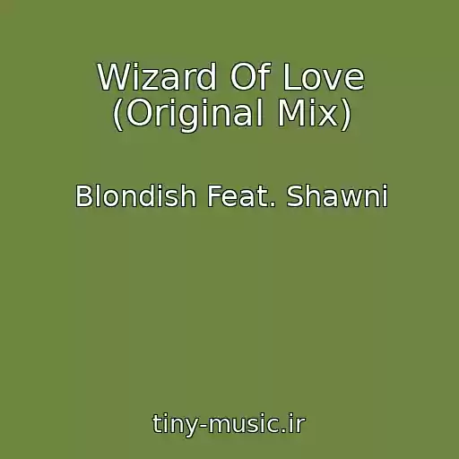 کاور آهنگ Wizard Of Love (Original Mix) از Blondish Feat. Shawni