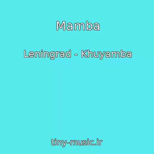 کاور آهنگ Mamba از Leningrad - Khuyamba