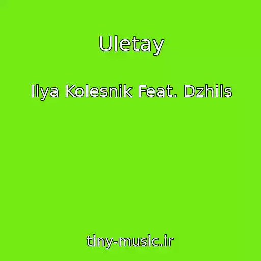 کاور آهنگ Uletay از Ilya Kolesnik Feat. Dzhils