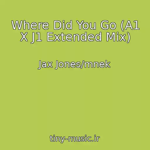 کاور آهنگ Where Did You Go (A1 X J1 Extended Mix) از Jax Jones/mnek