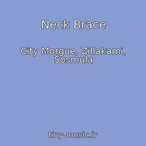کاور آهنگ Neck Brace از City Morgue, Zillakami, Sosmula