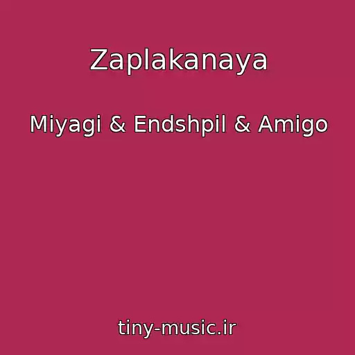 کاور آهنگ Zaplakanaya از Miyagi & Endshpil & Amigo