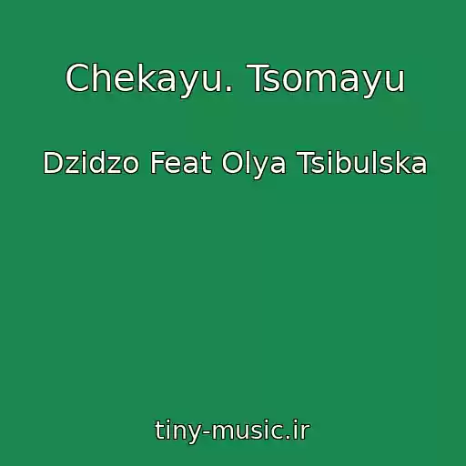 کاور آهنگ Chekayu. Tsomayu از Dzіdzo Feat Olya Tsibulska