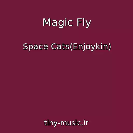 کاور آهنگ Magic Fly از Space Cats(Enjoykin)