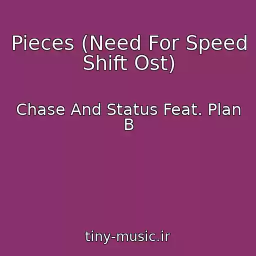 کاور آهنگ Pieces (Need For Speed Shift Ost) از Chase And Status Feat. Plan B