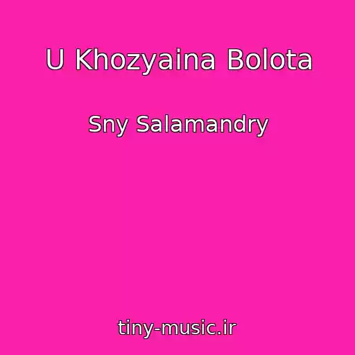 کاور آهنگ U Khozyaina Bolota از Sny Salamandry