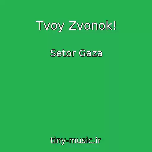کاور آهنگ Tvoy Zvonok! از Setor Gaza