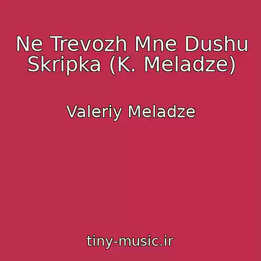 کاور آهنگ Ne Trevozh Mne Dushu Skripka (K. Meladze) از Valeriy Meladze
