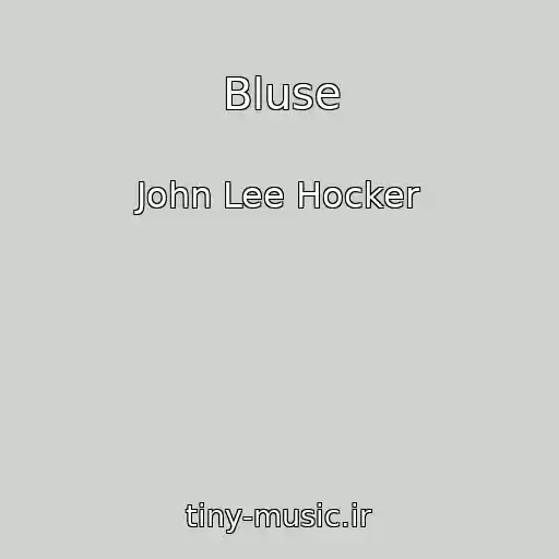 کاور آهنگ Bluse از John Lee Hocker