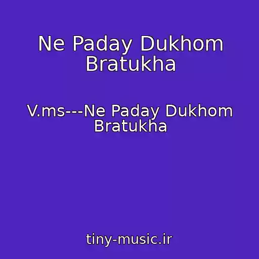 کاور آهنگ Ne Paday Dukhom Bratukha از V.ms---Ne Paday Dukhom Bratukha