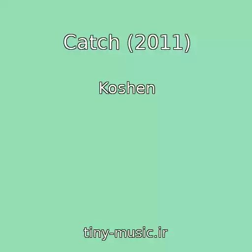 کاور آهنگ Catch (2011) از Koshen