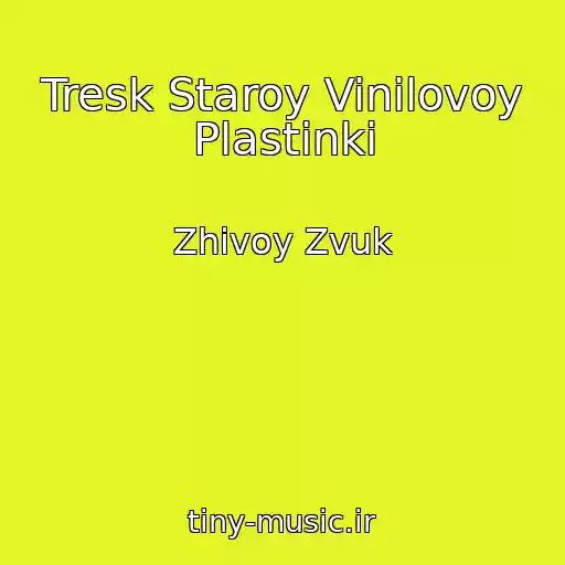 کاور آهنگ Tresk Staroy Vinilovoy Plastinki از Zhivoy Zvuk