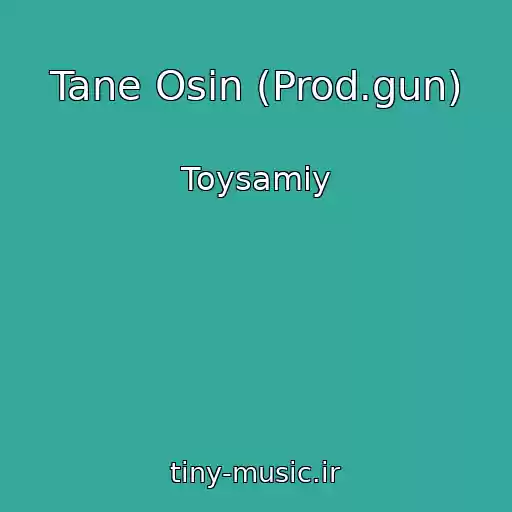 کاور آهنگ Tane Osіn (Prod.gun) از Toysamiy