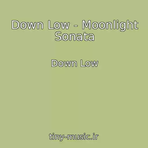 کاور آهنگ Down Low - Moonlight Sonata از Down Low
