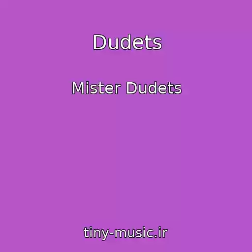 کاور آهنگ Dudets از Mister Dudets