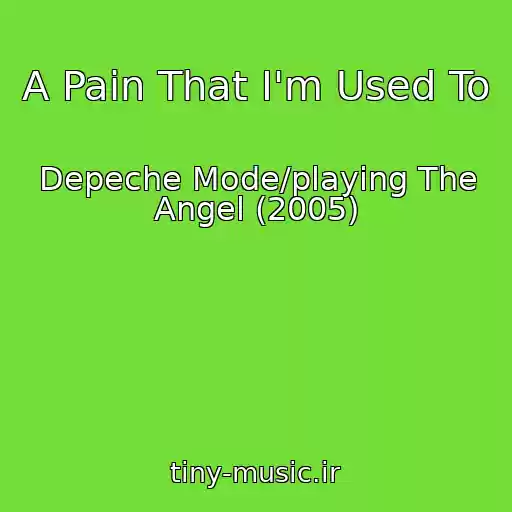 کاور آهنگ A Pain That I'm Used To از Depeche Mode/playing The Angel (2005)