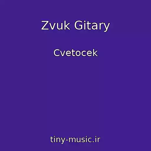 کاور آهنگ Zvuk Gitary از Cvetocek