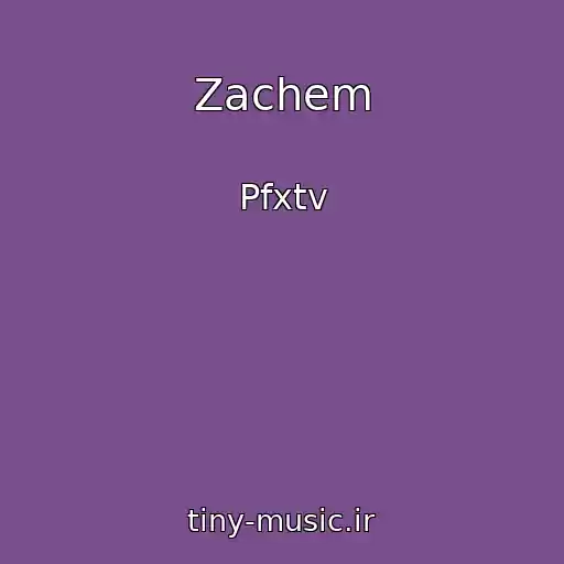 کاور آهنگ Zachem از Pfxtv