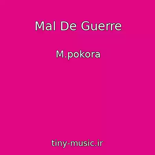 کاور آهنگ Mal De Guerre از M.pokora