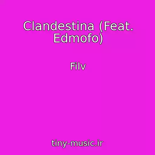 کاور آهنگ Clandestina (Feat. Edmofo) از Filv