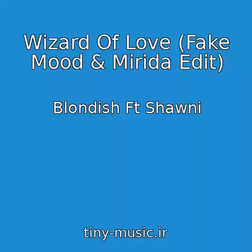 کاور آهنگ Wizard Of Love (Fake Mood & Mirida Edit) از Blondish Ft Shawni