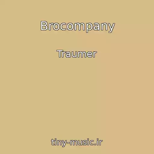 کاور آهنگ Brocompany از Traumer