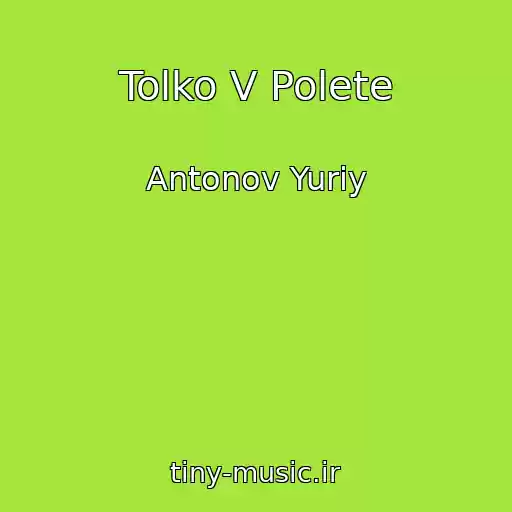 کاور آهنگ Tolko V Polete از Antonov Yuriy