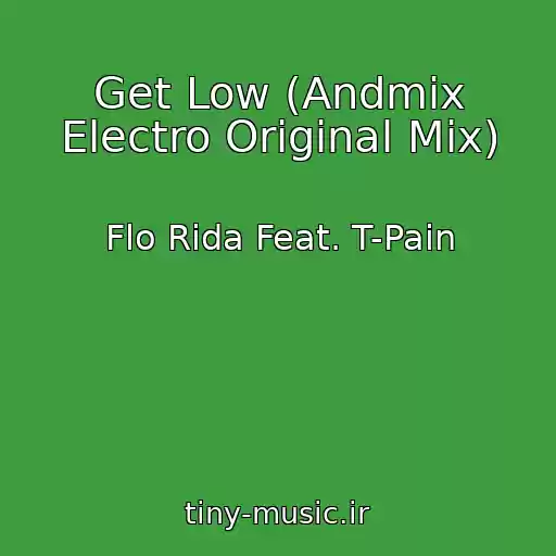 کاور آهنگ Get Low (Andmix Electro Original Mix) از Flo Rida Feat. T-Pain
