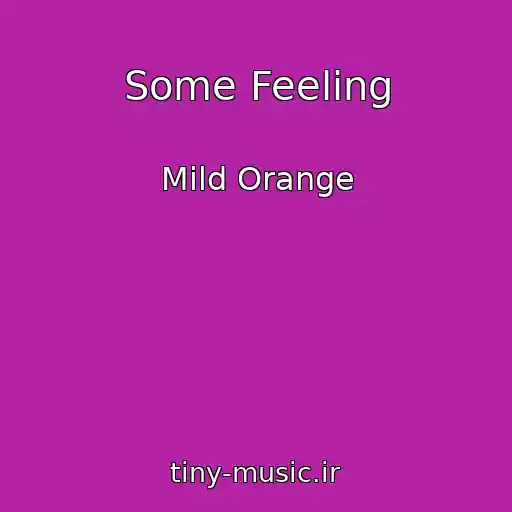 کاور آهنگ Some Feeling از Mild Orange