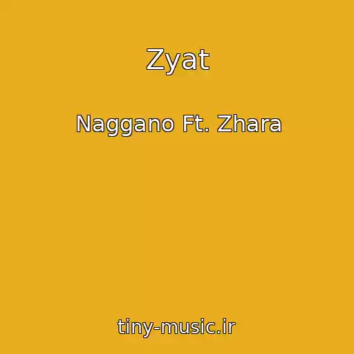 کاور آهنگ Zyat از Naggano Ft. Zhara