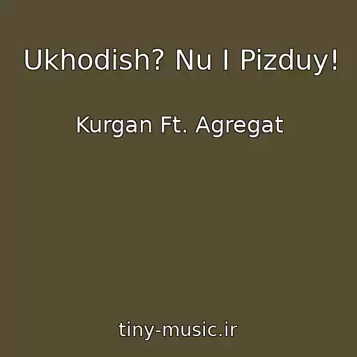 کاور آهنگ Ukhodish? Nu І Pizduy! از Kurgan Ft. Agregat