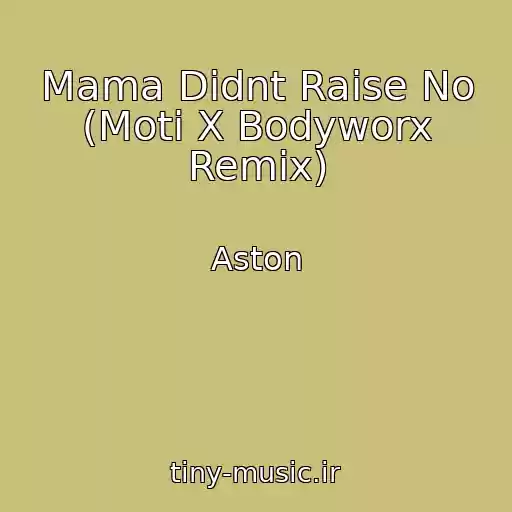 کاور آهنگ Mama Didnt Raise No (Moti X Bodyworx Remix) از Aston