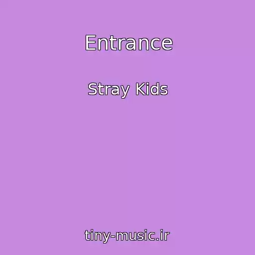 کاور آهنگ Entrance از Stray Kids