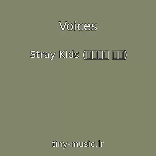 کاور آهنگ Voices از Stray Kids (스트레이 키즈)