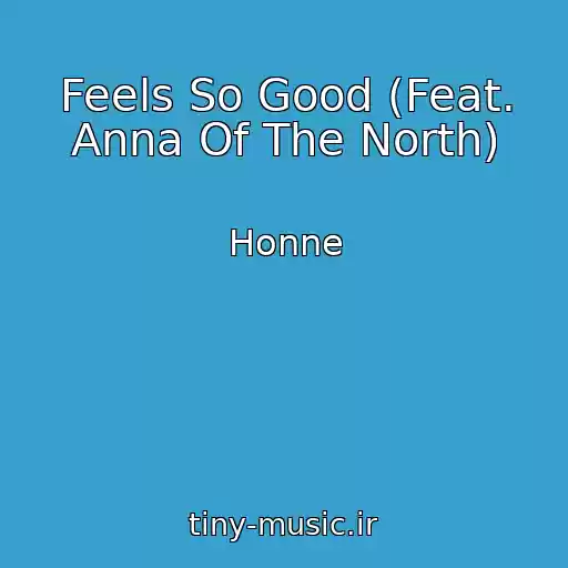 کاور آهنگ Feels So Good (Feat. Anna Of The North) از Honne