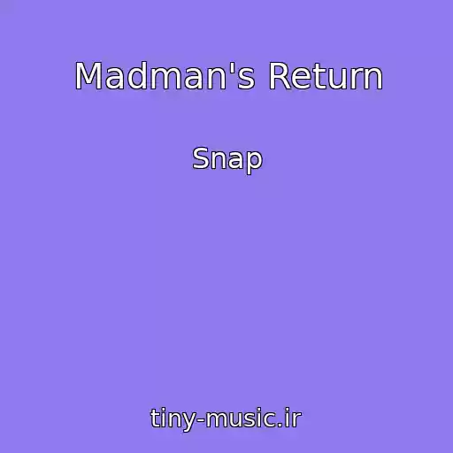 کاور آهنگ Madman's Return از Snap
