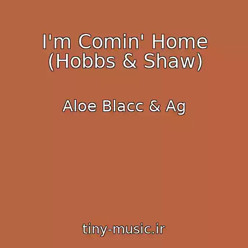 کاور آهنگ I'm Comin' Home (Hobbs & Shaw) از Aloe Blacc & Ag