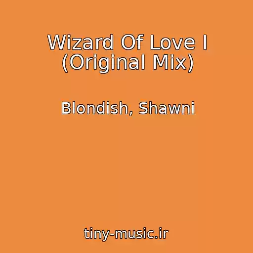 کاور آهنگ Wizard Of Love I (Original Mix) از Blondish, Shawni