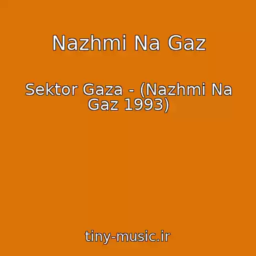 کاور آهنگ Nazhmi Na Gaz از Sektor Gaza - (Nazhmi Na Gaz 1993)