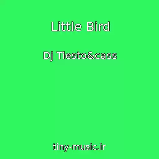 کاور آهنگ Little Bird از Dj Tiesto&cass